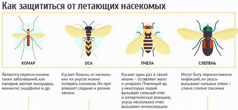 Что делать, если укусила оса или пчела? правила первой помощи