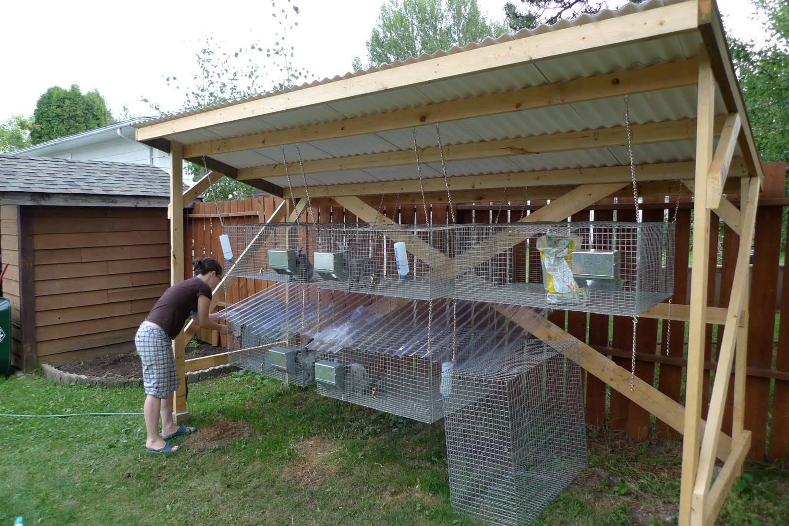 Как обезопасить кроликов от комаров - jurnalagronoma
