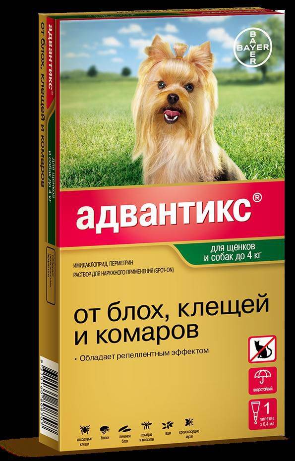 Адвантикс / advantix (капли) для собак | отзывы о применении препаратов для животных от ветеринаров и заводчиков