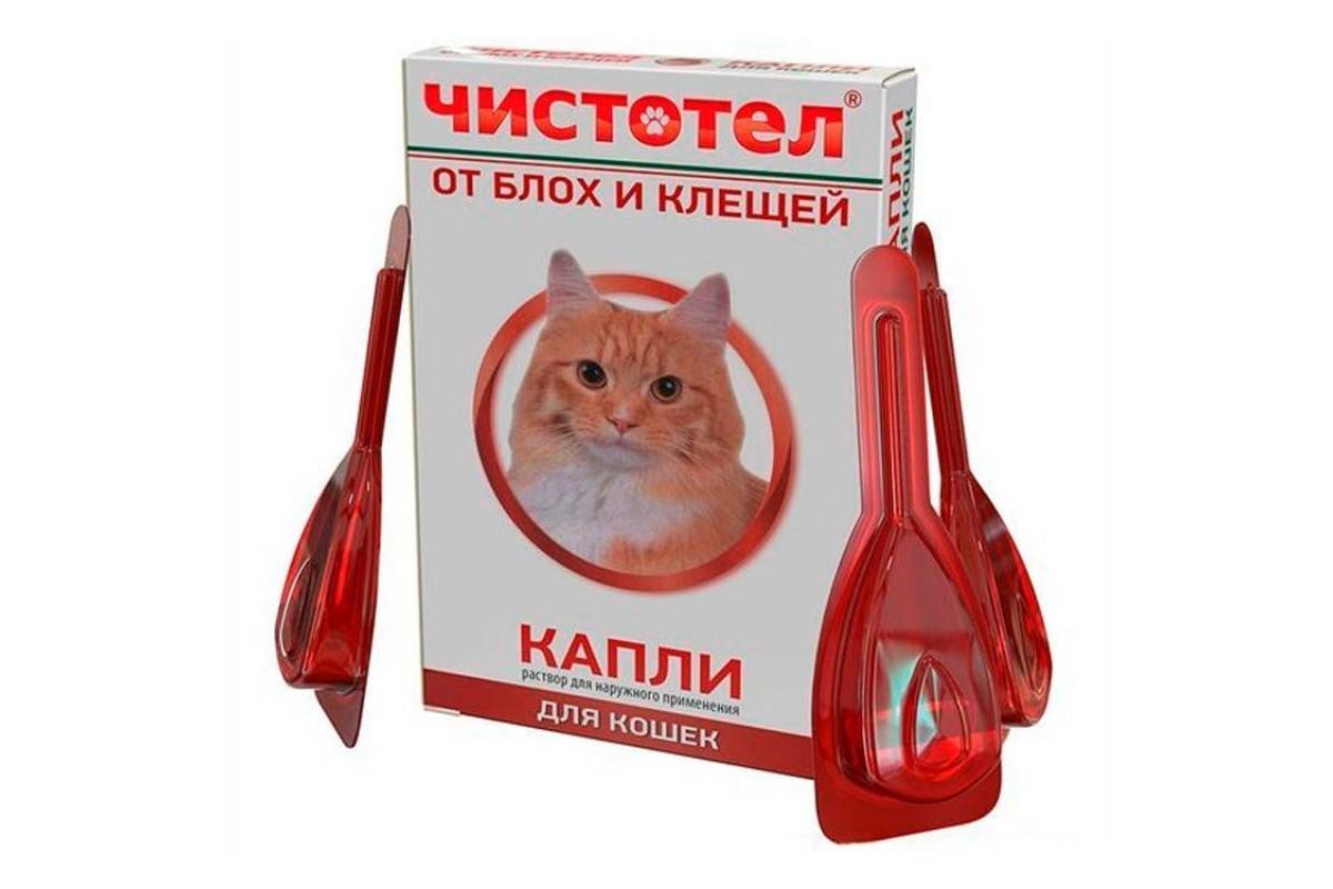 Капли для кошек. Капли 