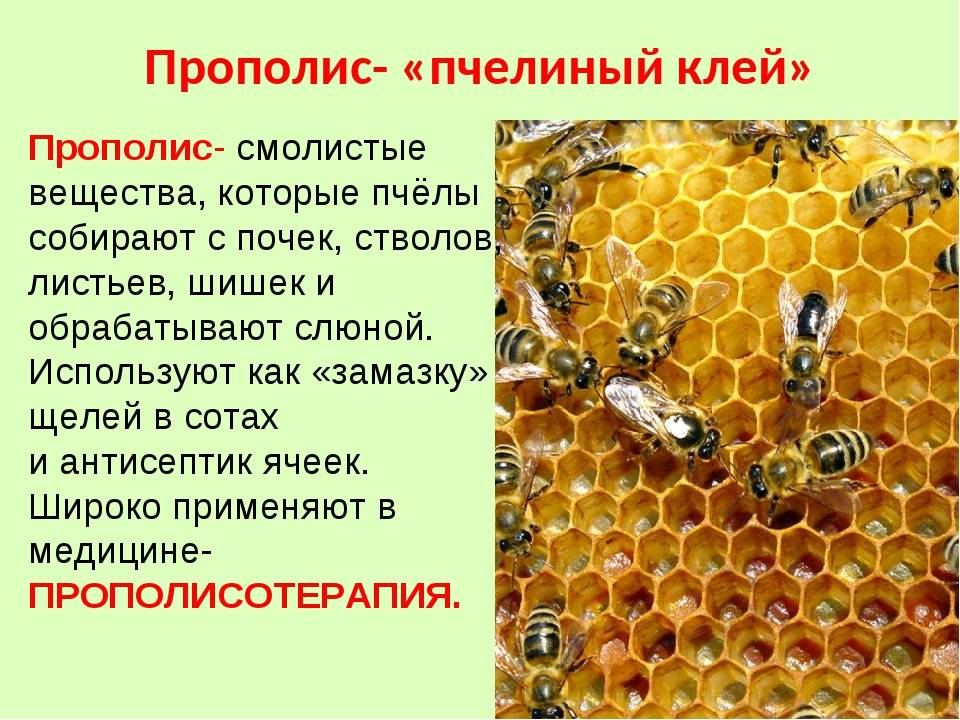 Что такое крем мед? особенности и технология его производства. почему крем мед популярен?
