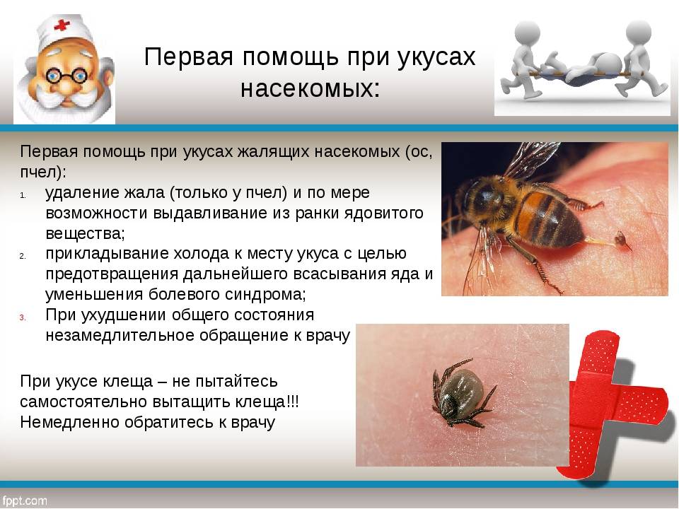 Первая помощь после укуса осы,пчелы. народные методы лечения осиных укусов.