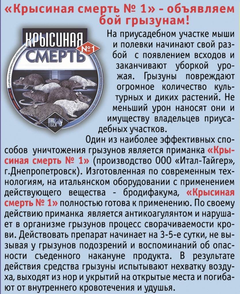 Гастроэзофагеальная рефлюксная болезнь: новый подход к причинам и лечению * клиника диана в санкт-петербурге