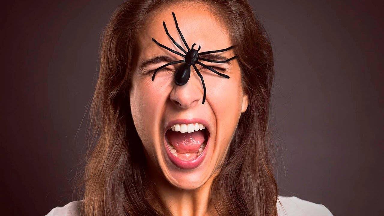 Арахнофобия - боязнь пауков: причины, симптомы, лечение фобии