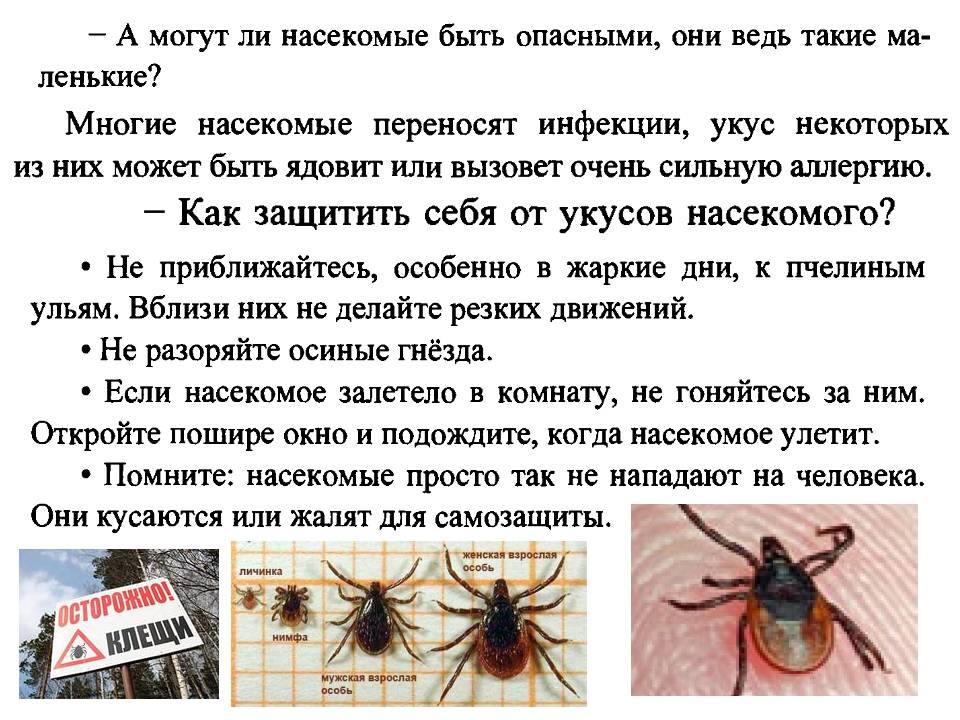 Чем опасны для человека живущие в квартирах тараканы?