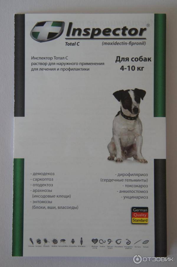 Капли от клещей для собак инспектор - отзывы и инструкции к применению