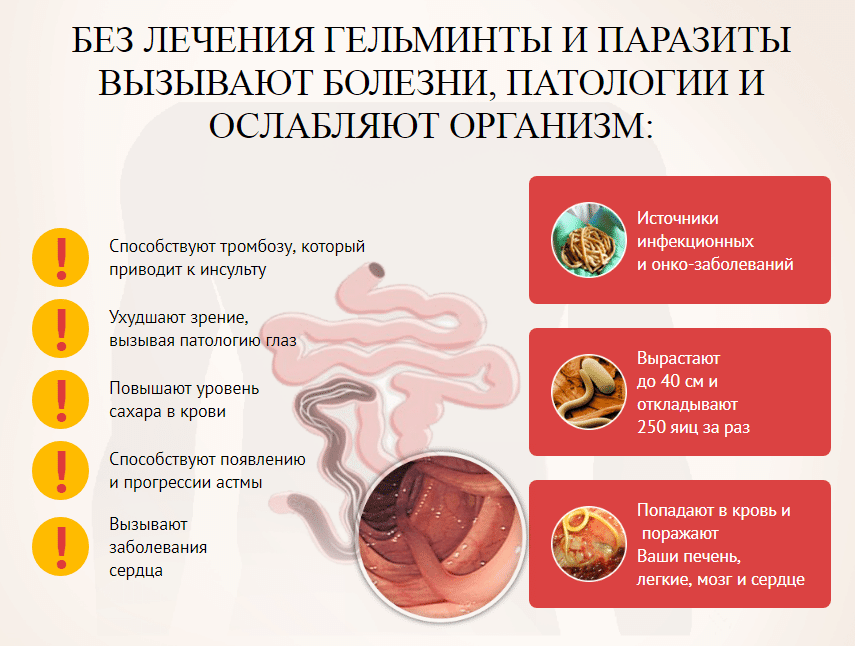 Какое заболевание развивается у человека при заражении простейшими изображенным на рисунке 2