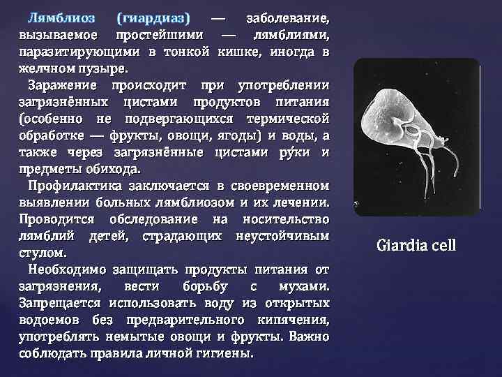 Виды паразитов в организме человека: классификация, описание, препараты для лечения | признаки, лечение и диагностика вгкб № 2