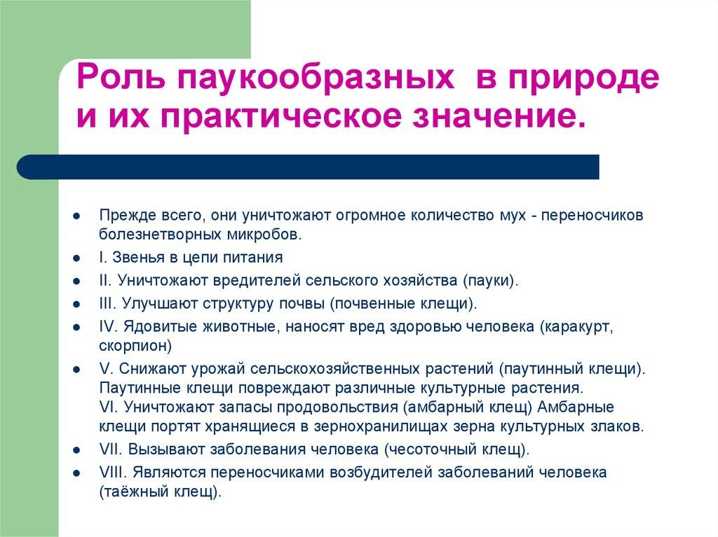 Многообразие паукообразных и их значение в природе и жизни человека план презентации