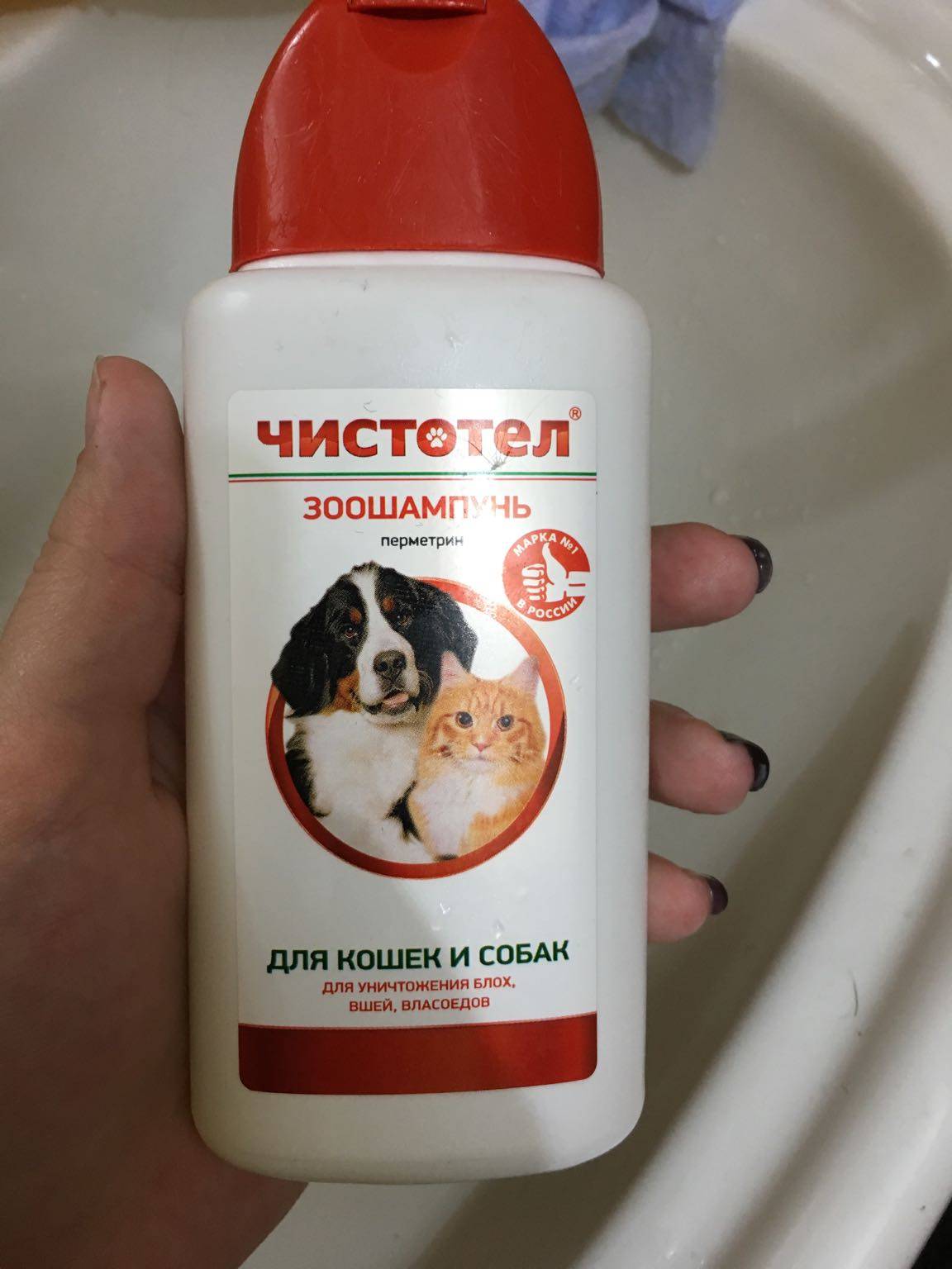 Какой шампунь от блох для кошек самый лучший: как часто можно мыть кошек