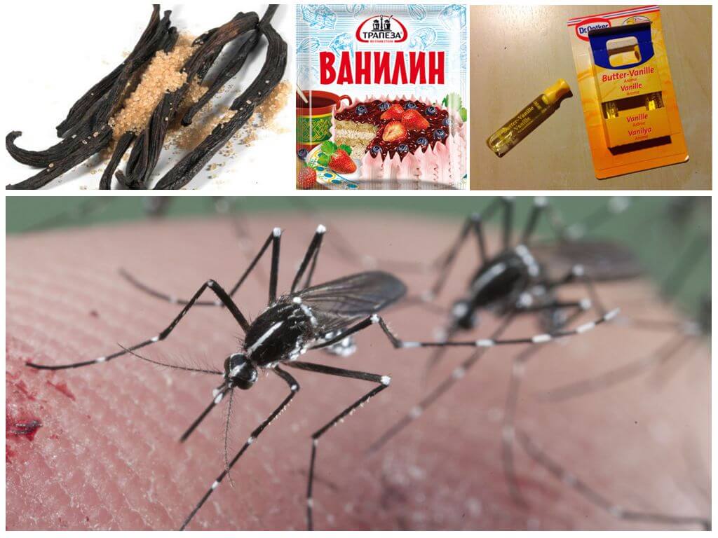 Ванилин от комаров - рецепты для детей и взрослых