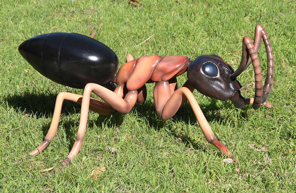 Самые опасные муравьи 