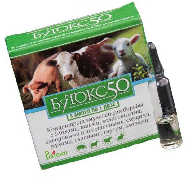 Вши у коз, коров, овец: как вывести у крс и что делать - как избавиться от сифункулятоза животных народными способами (лечение) — moloko-chr.ru