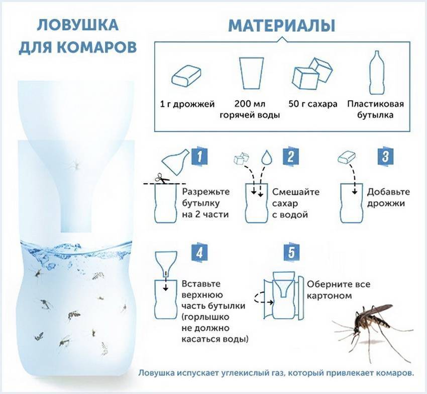 6 способов найти и поймать комара в комнате. как убить комара ночью?