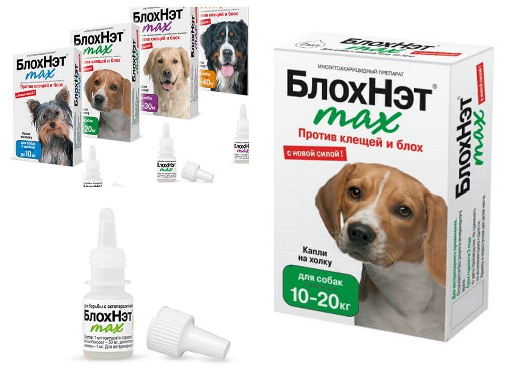 Эффективные таблетки от клещей для собак