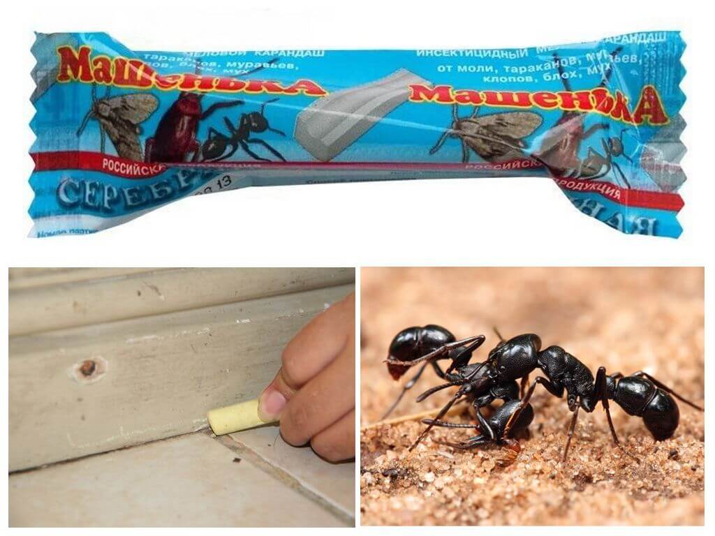 Карандаш машенька от муравьев
