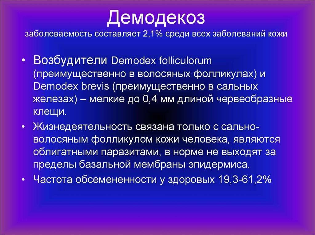 Демодекоз у человека на голове схема лечения