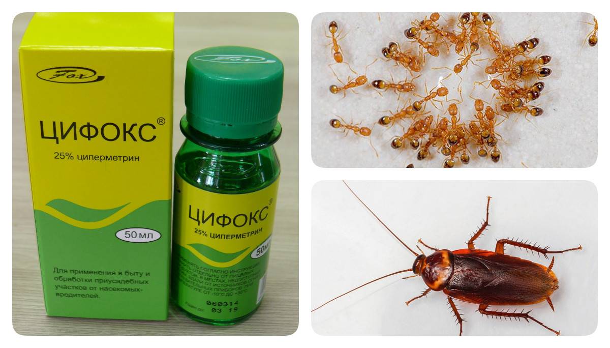 Как применять циперметрин от клопов, клещей, тараканов и комаров
