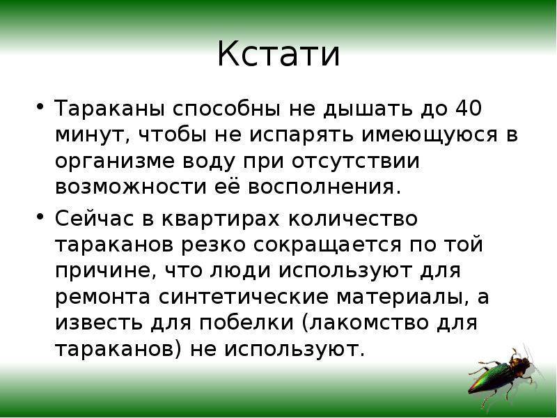 Кто ест тараканов из животных