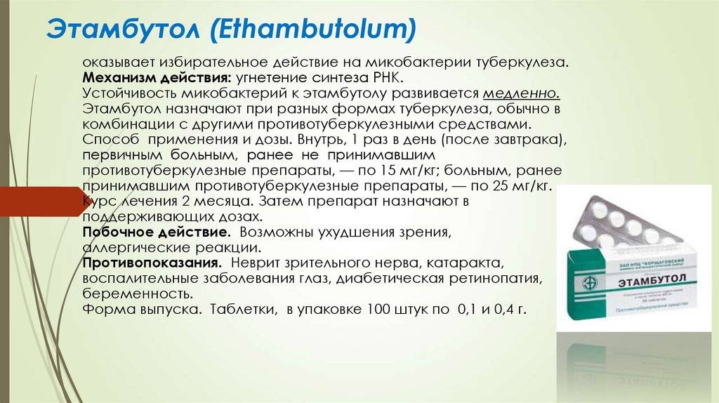 Риккетсиоз и эрлихиоз: симптомы риккетсии у человека - medside.ru