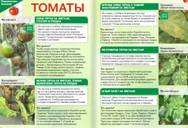 Болезни томатов фото описание и лечение