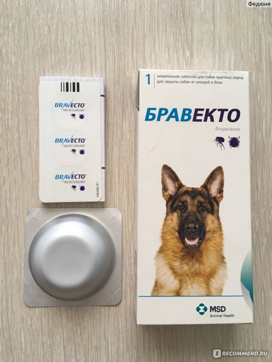 Бравекто для собак - как давать таблетки, принцип действия, побочные действия, аналоги и отзывы