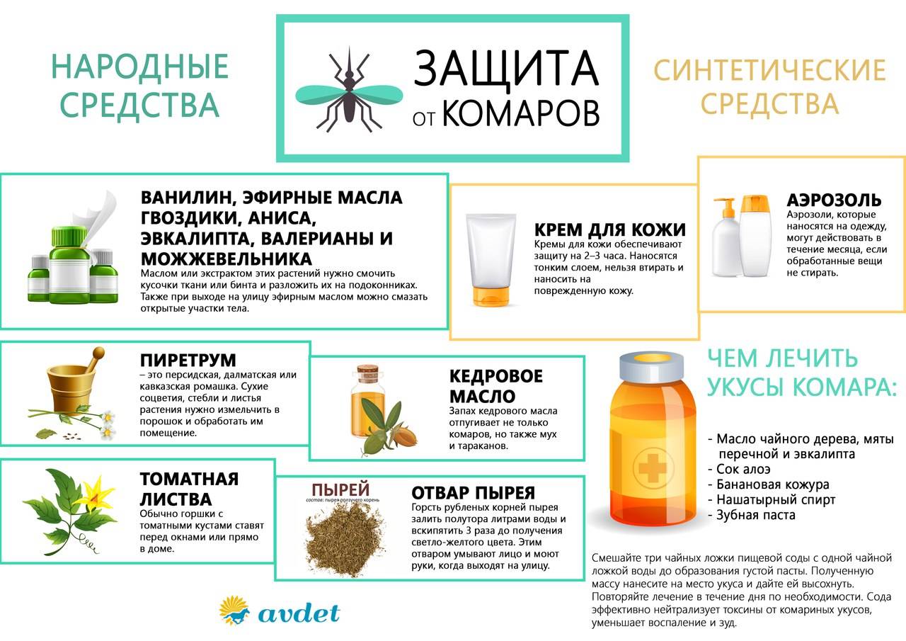 Народные средства от комаров в домашних условиях: лучшие рецепты из трав и эфирных масел