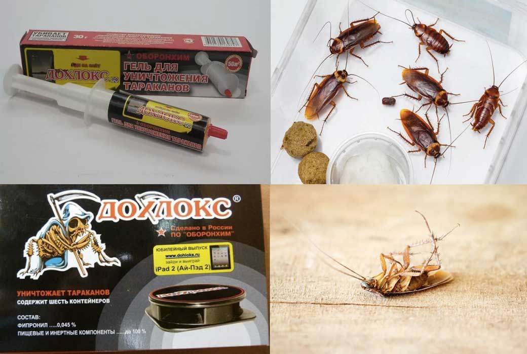 Get гет от тараканов инструкция