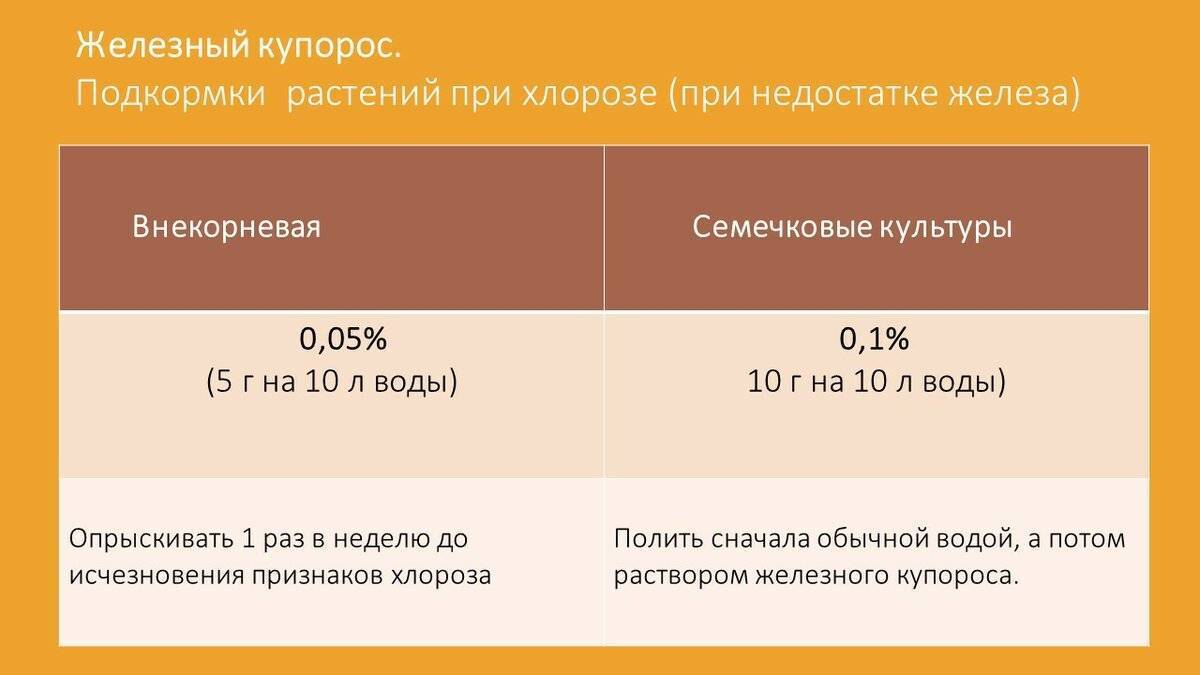 Применение железного купороса в саду и огороде, советы