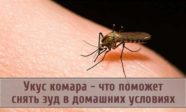 Чем помазать укус комара у ребенка: аптечные и народные средства