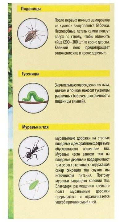 Ловчий пояс для деревьев - какой лучше и как правильно сделать?
ловчий пояс для деревьев - какой лучше и как правильно сделать?