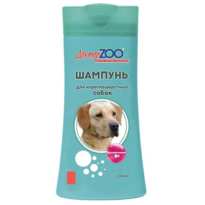Самые популярные и эффективные шампуни от блох для собак