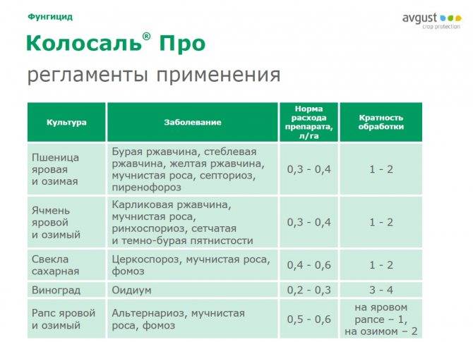 Фунгицид курзат: инструкция по применению и состав, нормы расхода и аналоги