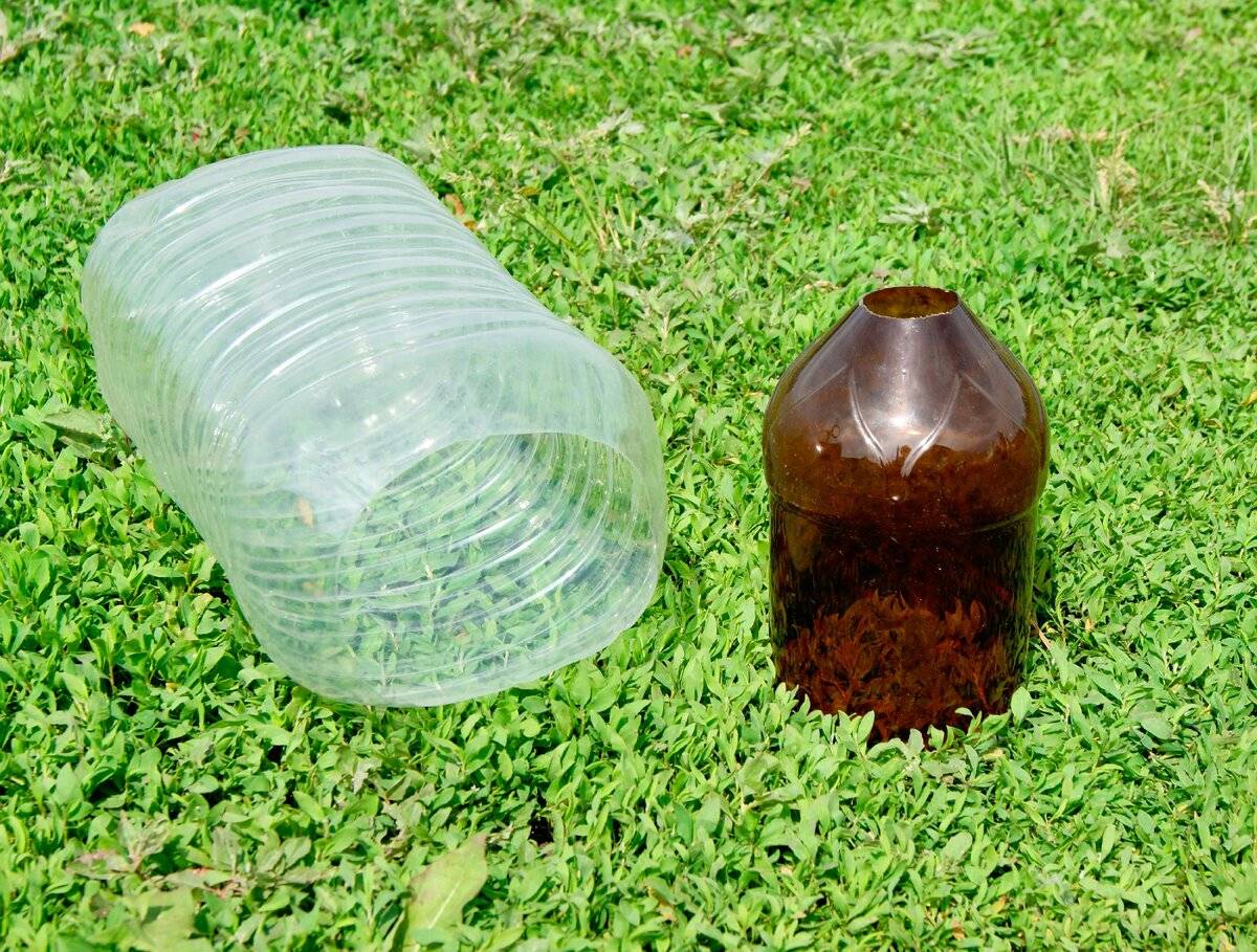 Как сделать ловушку для мух в домашних условиях: пластиковая бутылка, металлическая банка и липкая бумага