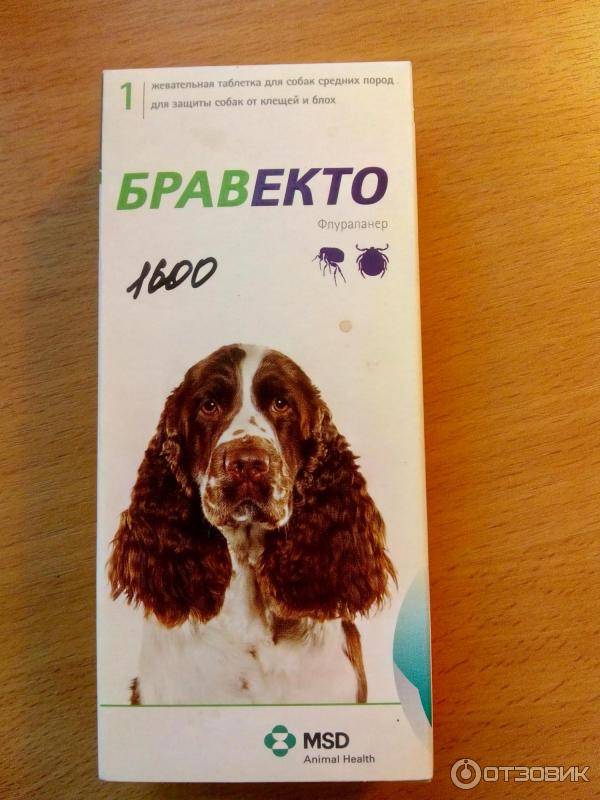 «бравекто» для собак: инструкция по применению