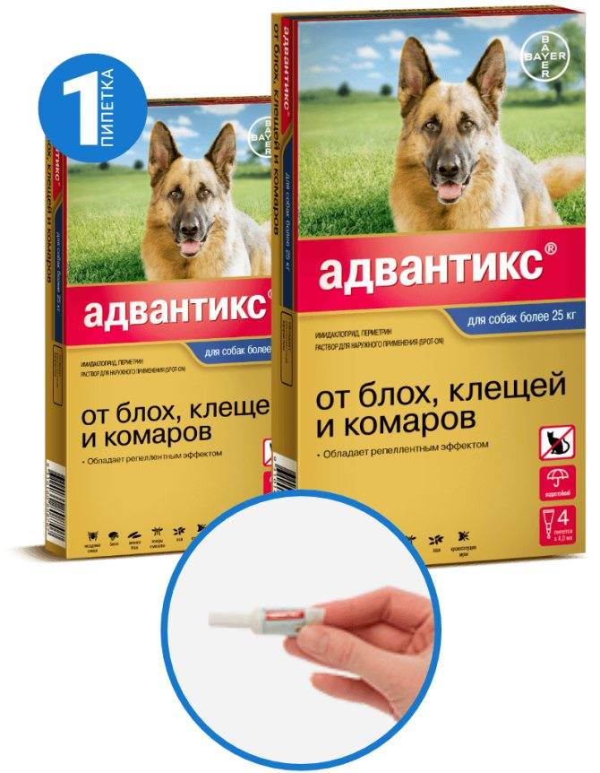 Адвантикс капли для собак: инструкция по применению, отзывы, аналоги