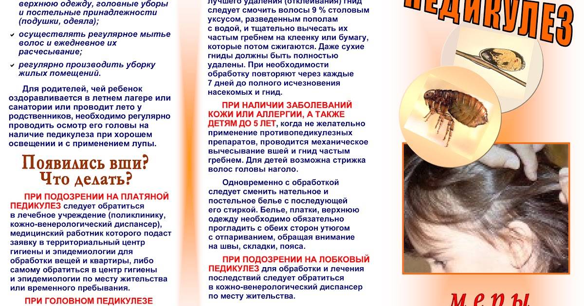 Санпин по педикулезу: профилактика паразитарных болезней на территории россии