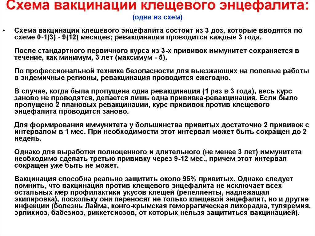 Можно ли сделать прививку от клещей. Клещевой энцефалит схема вакцинации и ревакцинации. Основная схема вакцинации от клещевого энцефалита. Экстренная схема вакцинации против клещевого энцефалита. Экстренная схема вакцинации клещевого энцефалита для детей.