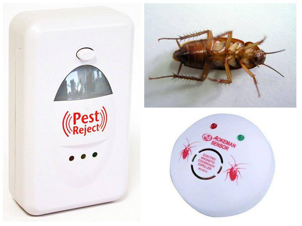 Ультразвуковые отпугиватели тараканов: отзывы и описание