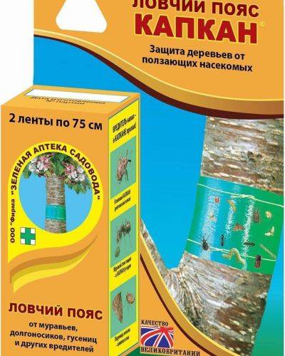 Ловчий пояс для плодовых деревьев от садовых вредителей: описание, виды поясов, изготовление своими руками (фото & видео) +отзывы