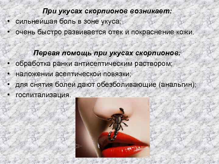 Дорожные осы: описание и интересные факты
