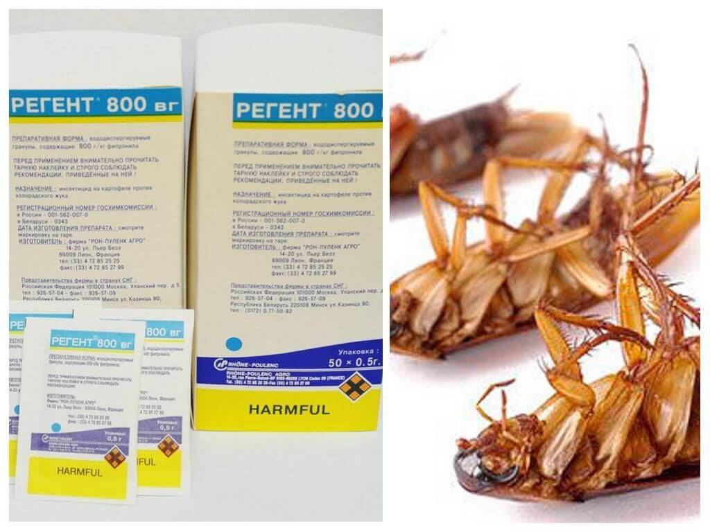 Средство от тараканов регент: состав, применение и эффект, отзывы