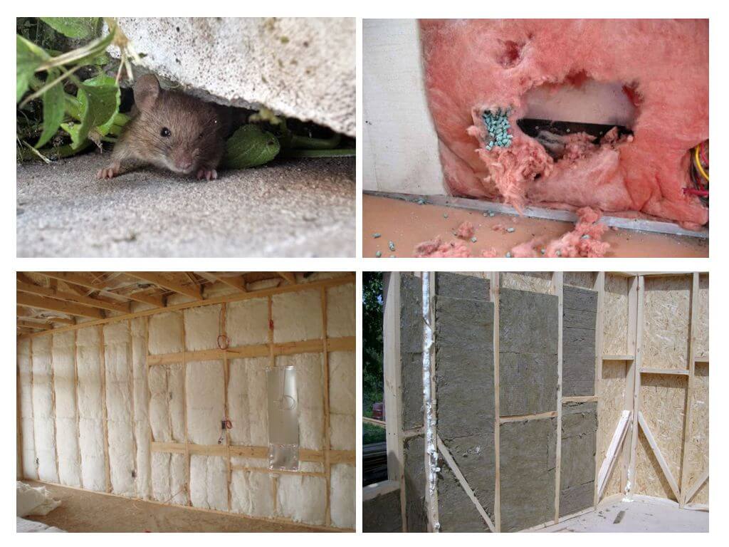Как защитить каркасный дом от мышей при строительстве с помощью сетки