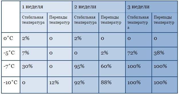 При какой температуре погибают клопы, личинки и яйца? :: syl.ru