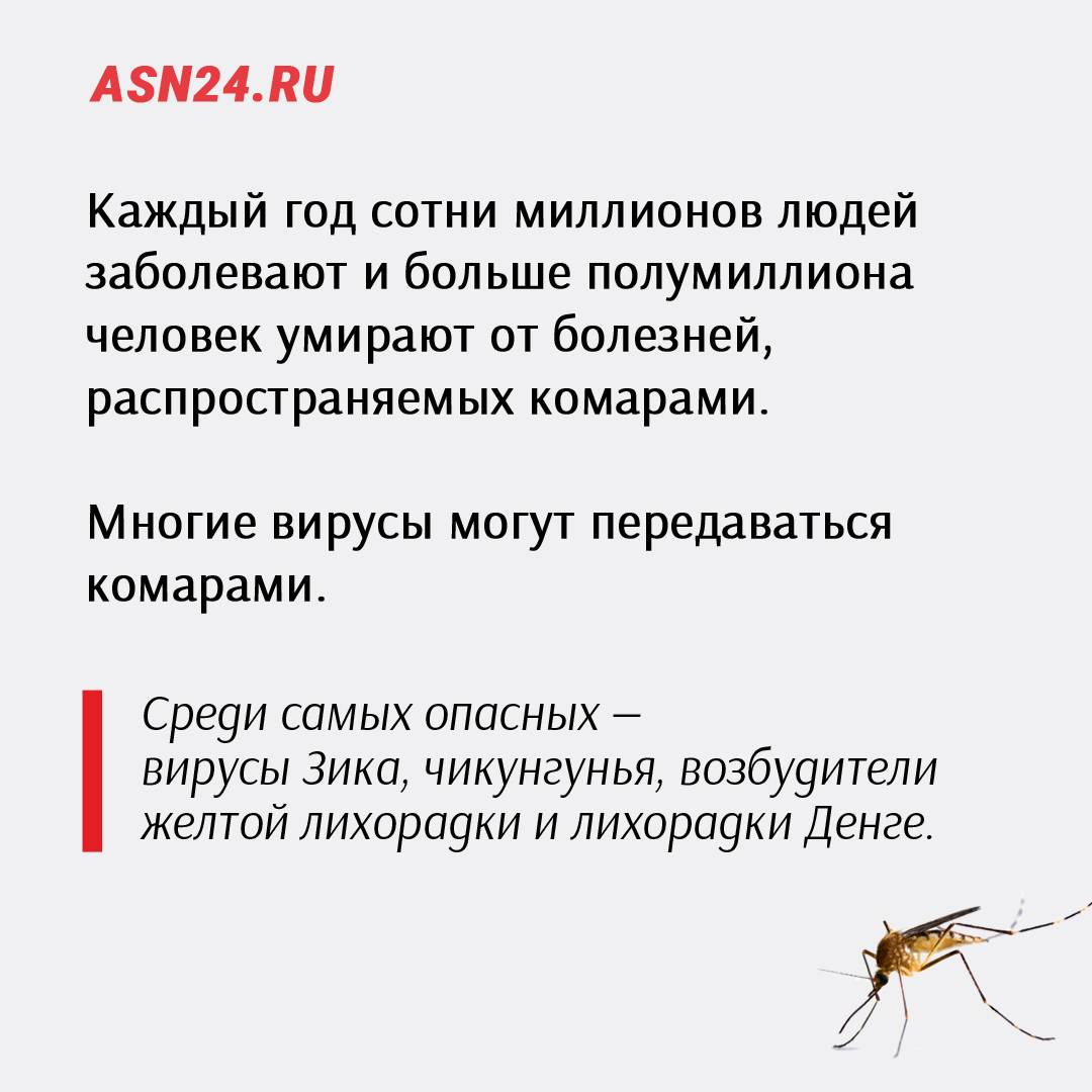 Переносят ли комары гепатит и какие еще есть пути передачи? - мбуз медико-санитарная часть масложиркомбинат краснодарский г. краснодар