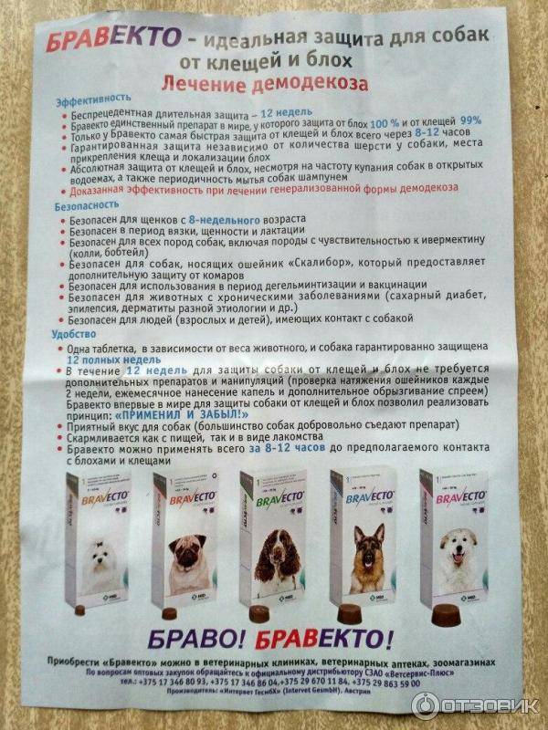 Таблетки от клещей бравекто для собак: принцип действия, отзывы ветеринаров, инструкция по применению
