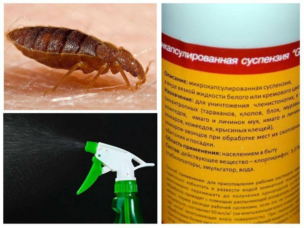 "фенаксин" - инсектицид от тараканов и клопов. инструкция