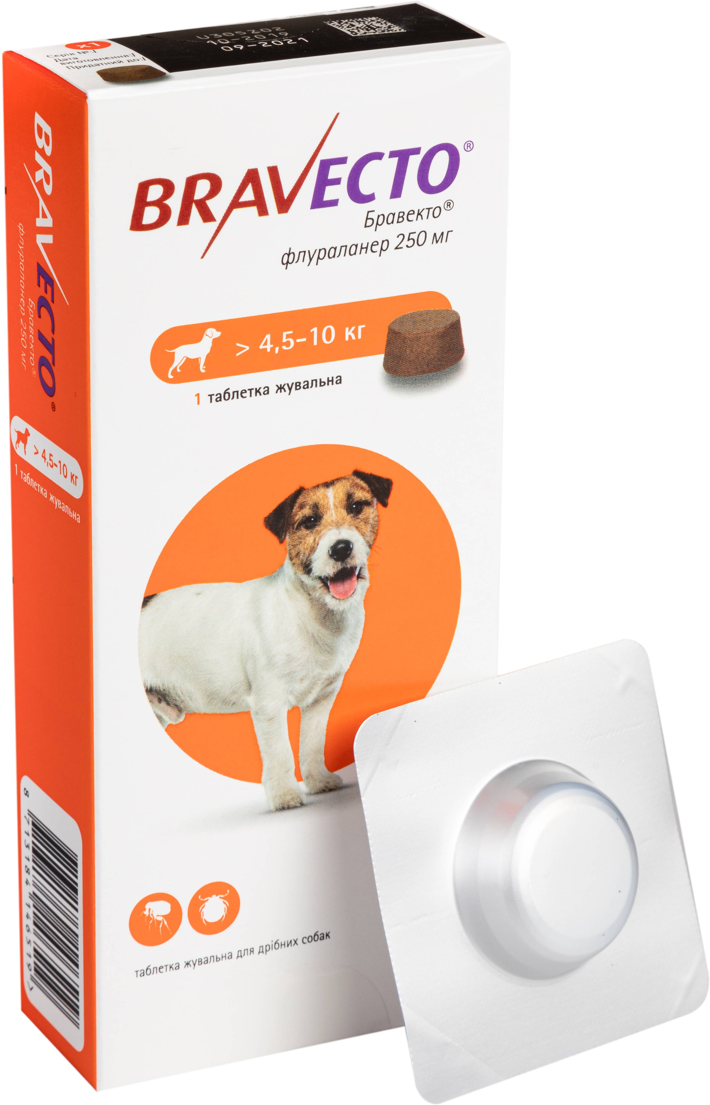 Таблетки «Бравекто» от блох: эффективность и правила применения для собак