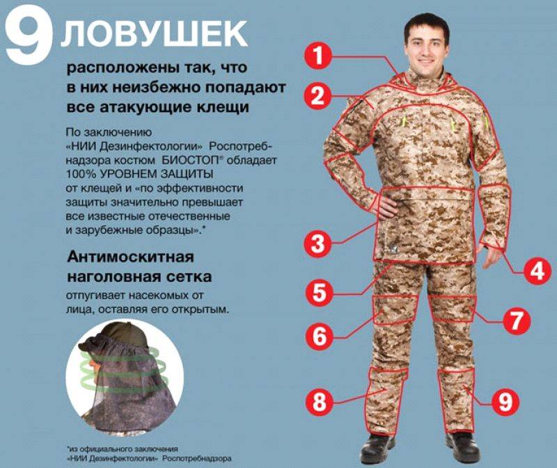 Костюм от клещей: как выбрать эффективную защиту | buzzbabble.ru