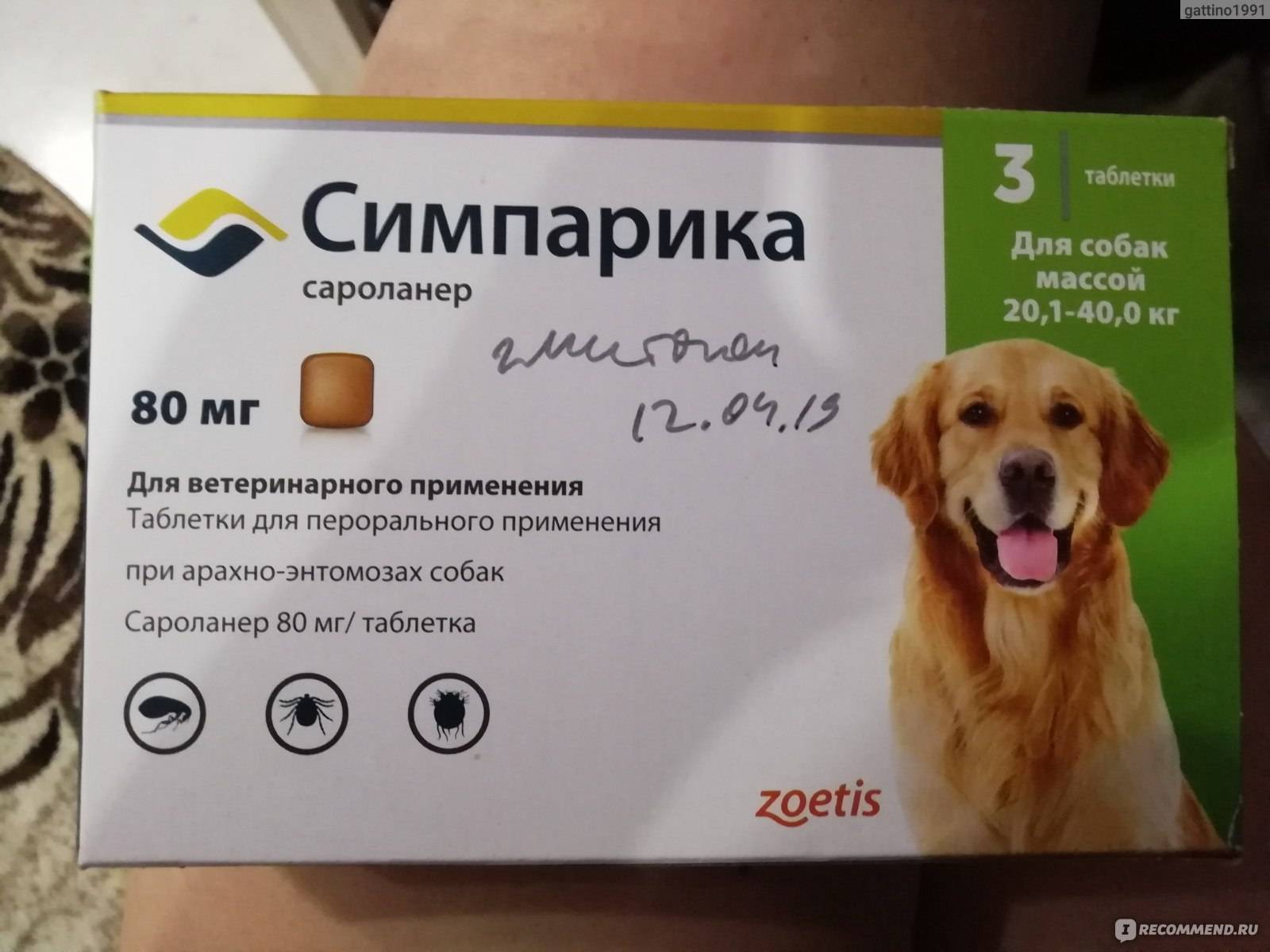Таблетки бравекто от блох и клещей для собак: отзывы владельцев и ветеринаров